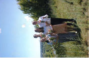 krehsenie_2002