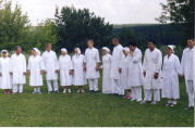 krehsenie